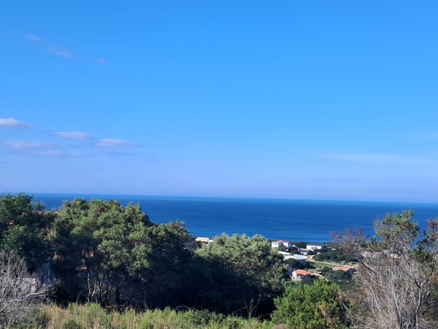 Commercial Property for Sale in Avonddans Western Cape